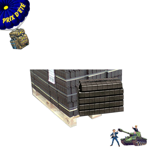 CHARBON BRIQUETTES DE LIGNITE