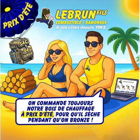BOIS DE CHAUFFAGE DUR 100% HETRE-CHARME BALLOT GRAND