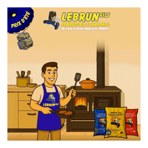 CHARBON BRIQUETTES DE LIGNITE