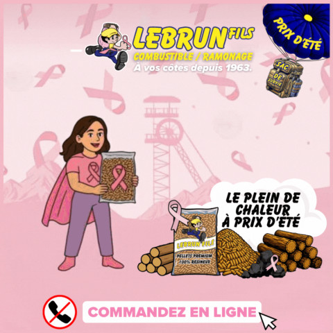 BOIS DE CHAUFFAGE FEUILLUS BOX PETIT